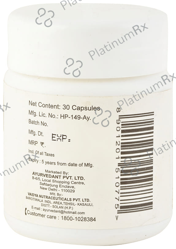 Baidyanath Ayurvedant Shodhit Shilajit Capsule