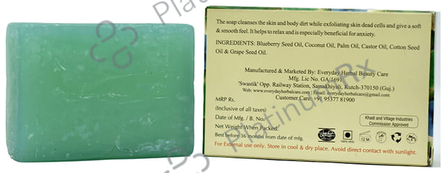 Vagad's Khadi Blueberry Soap with Exfoliation