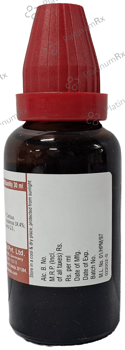 Dr Willmar Schwabe India Alpha-Liv Drop
