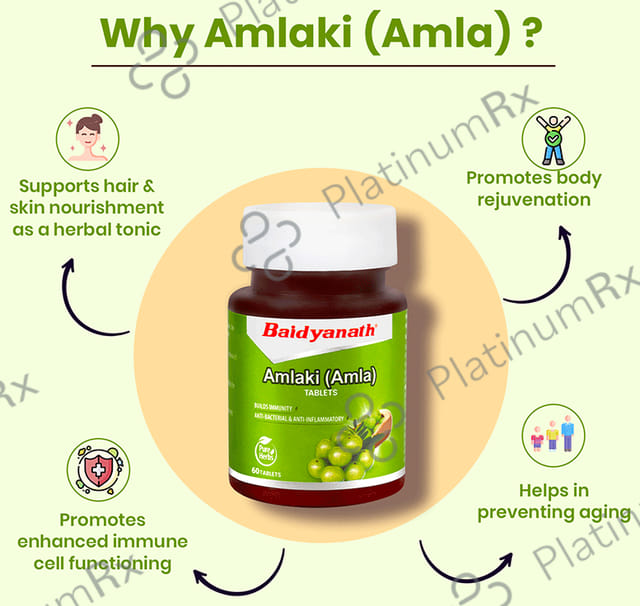 Baidyanath (Noida) Amlaki (Amla) Tablet