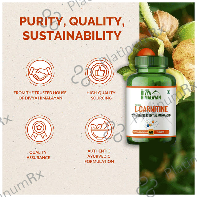 Divya Himalayan L Carnitine Capsule 60s