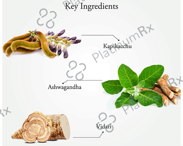 Sitaram Ayurveda Asthra Plus Powder