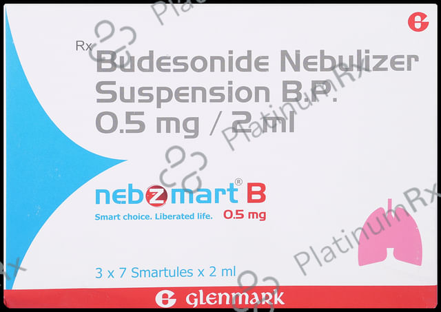 Nebzmart B 0.5mg Smartules Respules 7X2ml