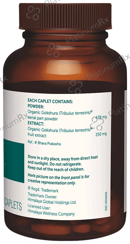 Himalaya Organic Gokshura - Men's Wellness - Helps improve Stamina and Vigour - Caplet