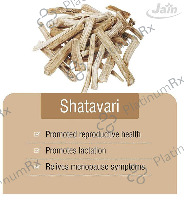 Jain Shatavari (Asparagus Racemosus) Powder 500 gm