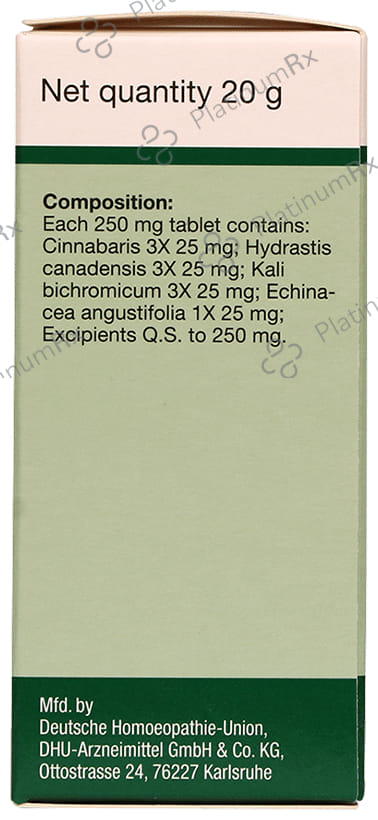Dr Willmar Schwabe Germany Cinnabaris Pentarkan Ptk. 31 Tablet
