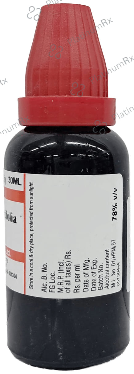 Dr Willmar Schwabe India Echinacea Angustifolia Mother Tincture Q