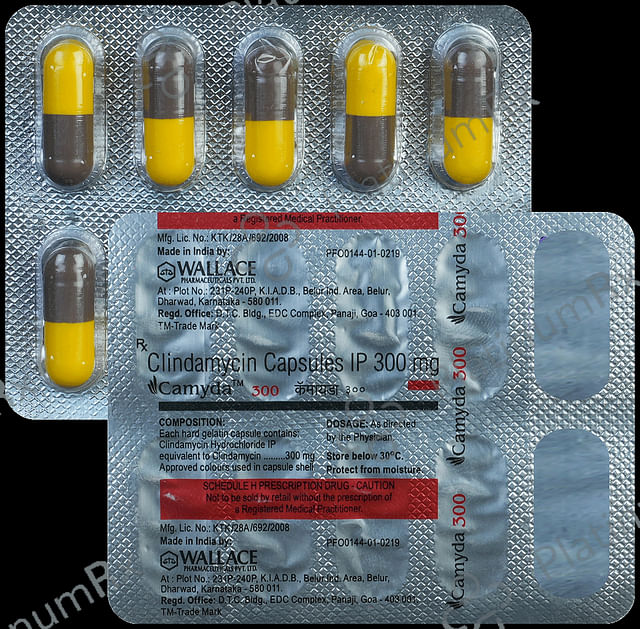Camyda 300mg Capsule 10s