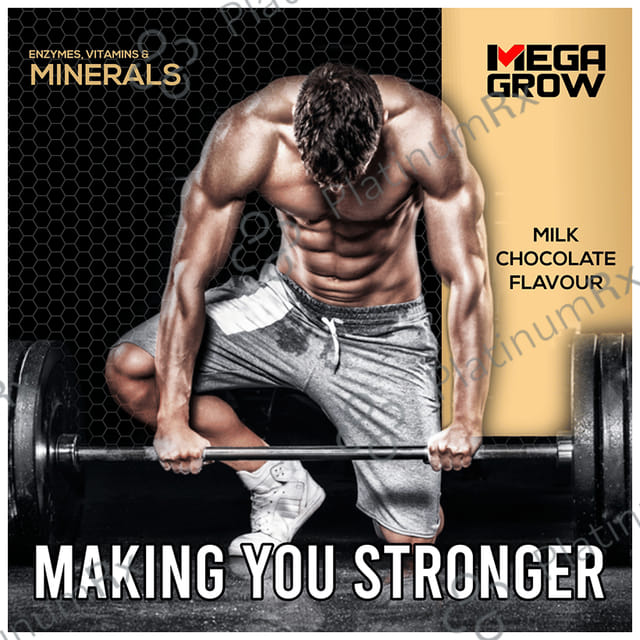 Megagrow Mass Gainer Milk Chocolate