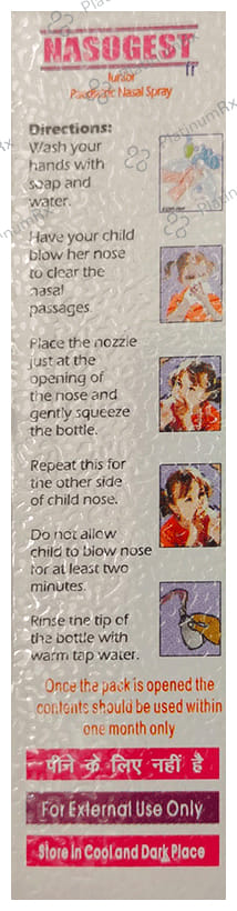 Nasogest Paediatric Nasal Spray 10ml