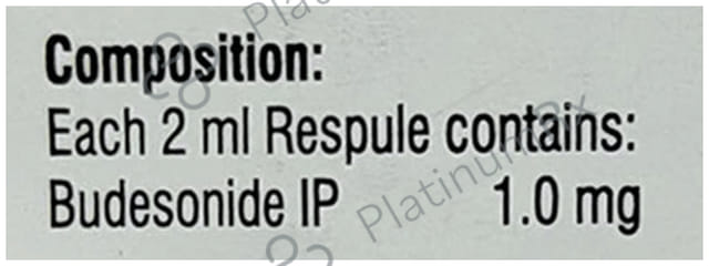 Bunase 1mg Respules 5X2ml 5s