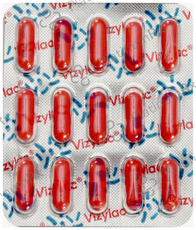 Vizylac Lactic Acid 120M Bacillus For Gut Health Capsule 15s