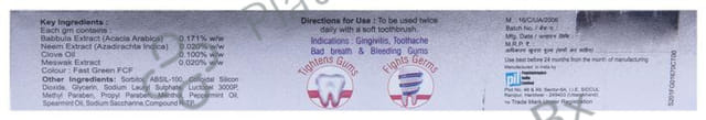 PIL Neem Plus Herbal Dental Gel - Neem Toothpaste With Clove, Meswak & Babool