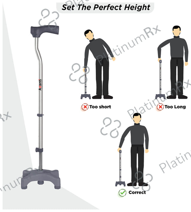 Vissco 909 Avanti L Shape Quadripod Stick Universal