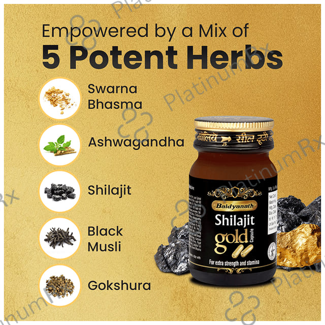 Baidyanath (Noida) Shilajit Gold Capsule