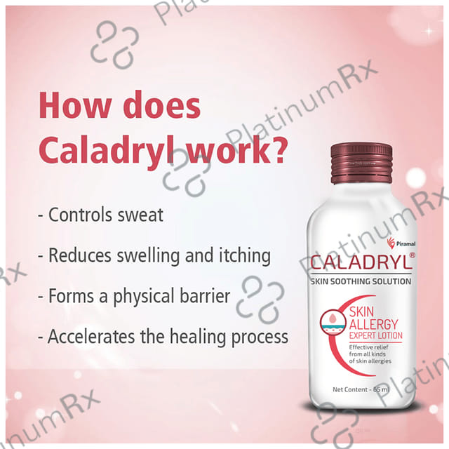 Caladryl Lotion 65ml