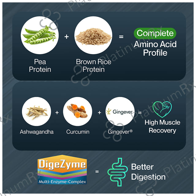 Setu Sport Plant Protein Powder Chocolate