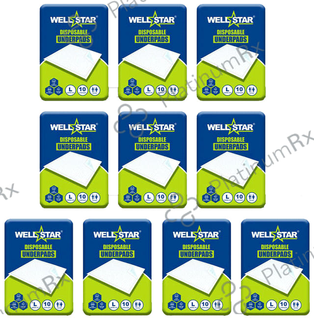 Wellstar Disposable Underpads (10 Each) Diaper 10 diapers