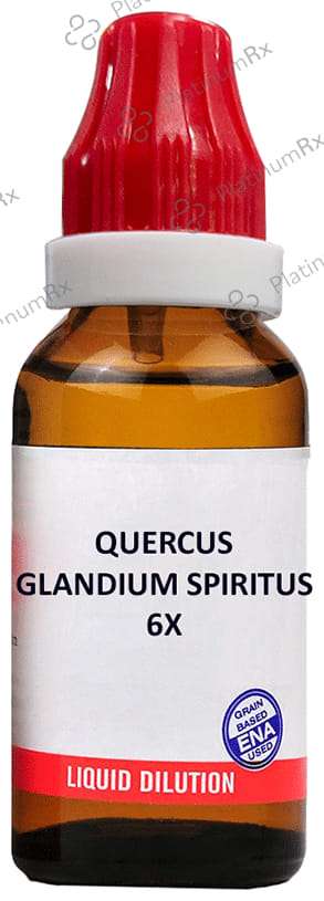 Bjain Quercus Glandium Spiritus Dilution 6X 100 ml