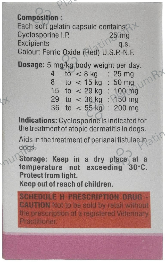 Ichmune C 25mg Pet Capsule 6s