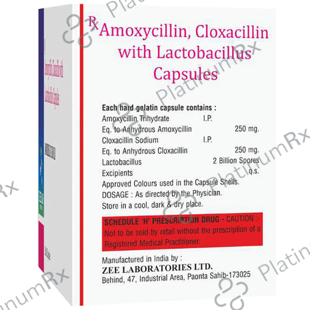 Amoxible CX 500 LB Capsule