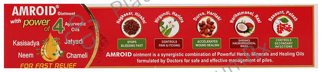 Amroid Ointment 20gm