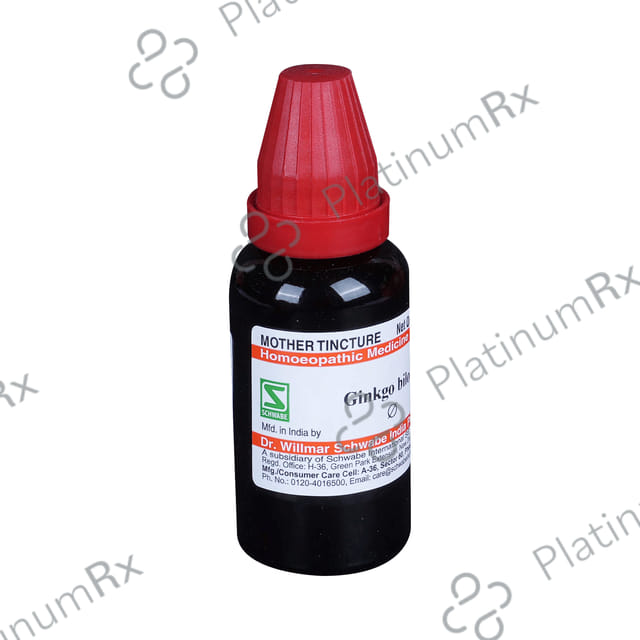 Dr Willmar Schwabe India Ginkgo Biloba Mother Tincture Q