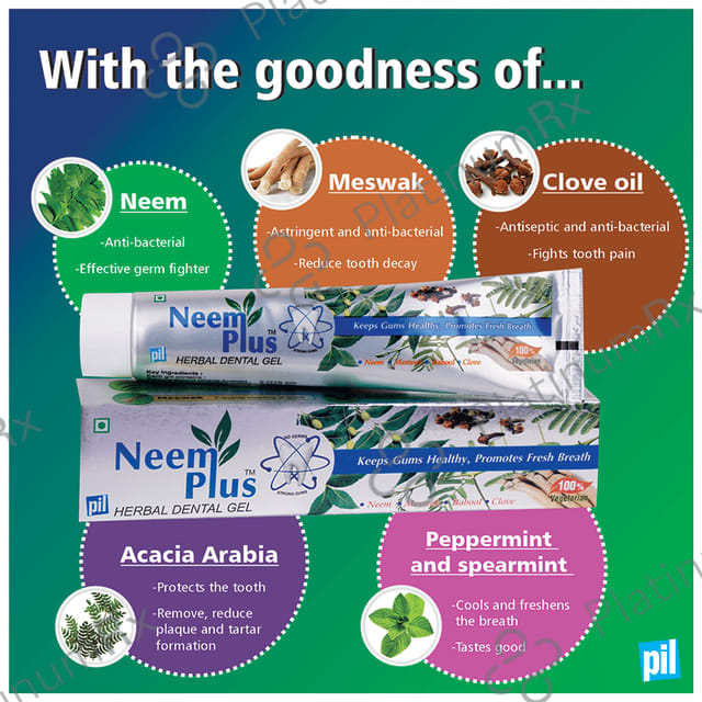 PIL Neem Plus Herbal Dental Gel - Neem Toothpaste With Clove, Meswak & Babool