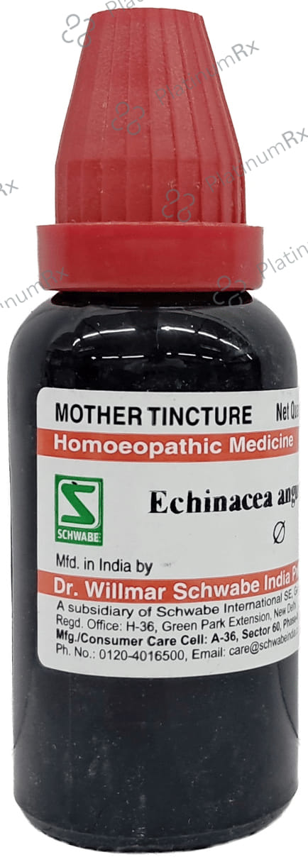 Dr Willmar Schwabe India Echinacea Angustifolia Mother Tincture Q