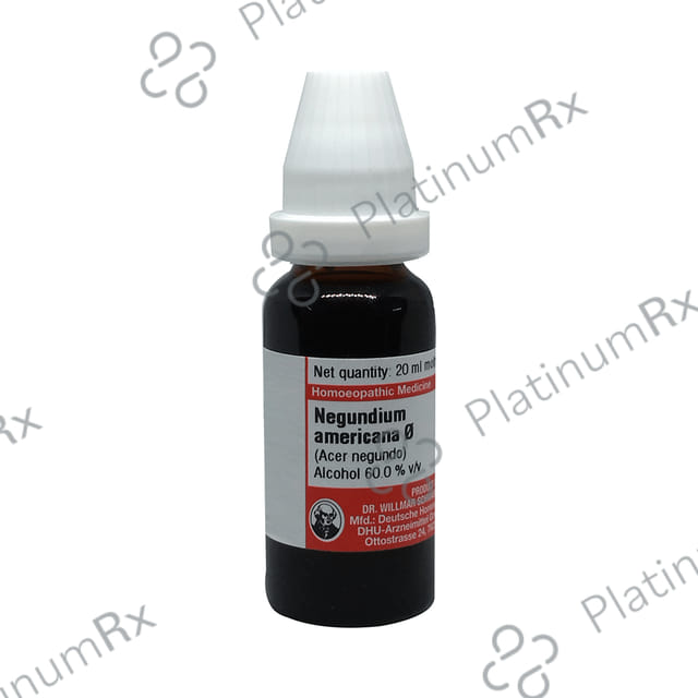 Dr Willmar Schwabe Germany Negundium Americana Mother Tincture Q