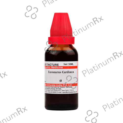 Dr Willmar Schwabe India Leonurus Cardiaca Mother Tincture Q