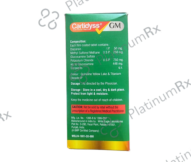 Cartidyss GM Tablet 15s