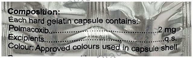 Polmakem 2mg Capsule 10s