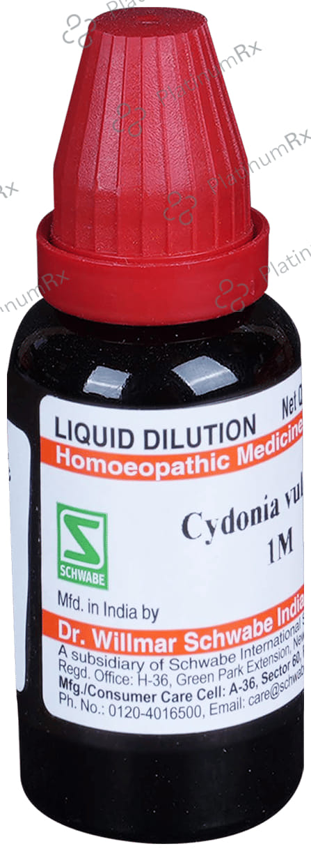 Dr Willmar Schwabe India Cydonia Vulgaris Dilution 1M
