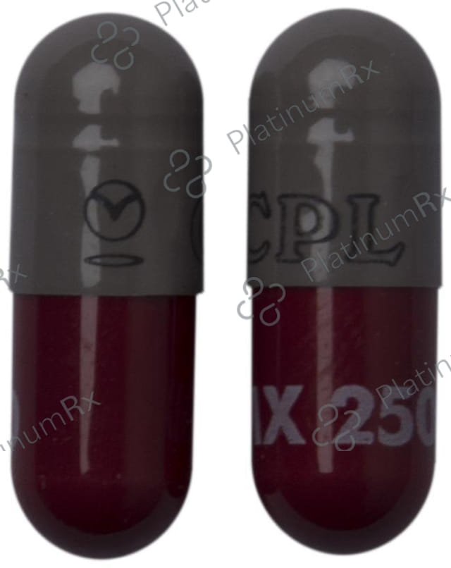 LMX 250 Capsule