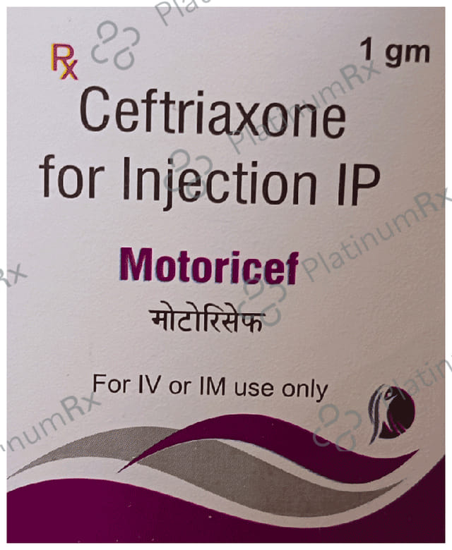 Motoricef Injection