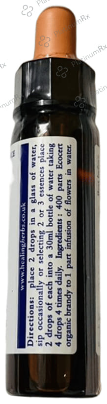 Healing Herbs Bach Flower Beech 10 ml