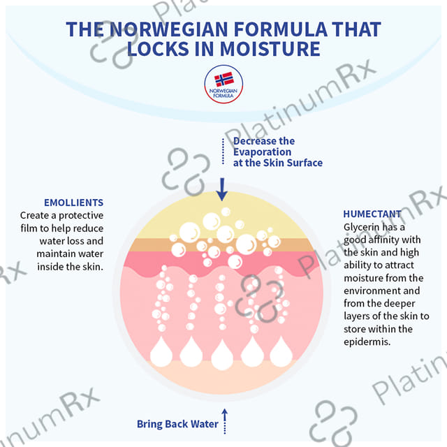 Neutrogena Norwegian Formula Body Moisturizer 250ml