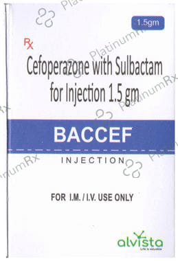 Baccef Injection