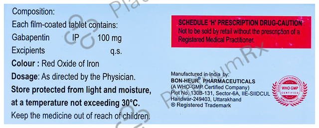 Gogab 100mg Tablet 10s