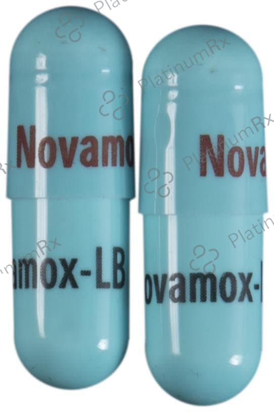 Novamox LB 500mg/60M Capsule 10s