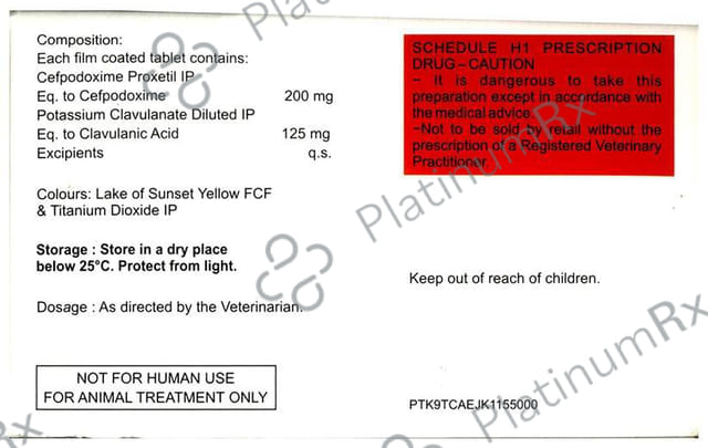 Cefastar-CV 200 Tablet