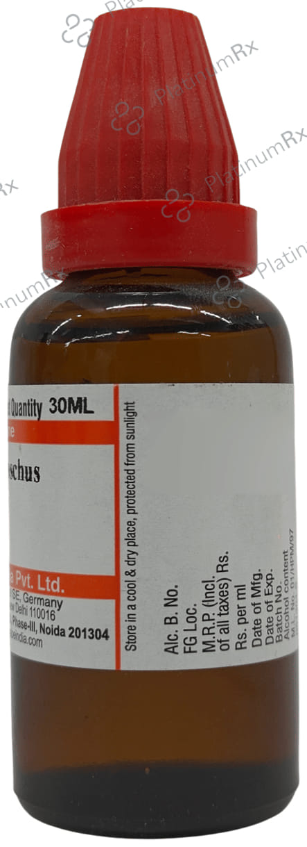Dr Willmar Schwabe India Abel Moschus Mother Tincture Q