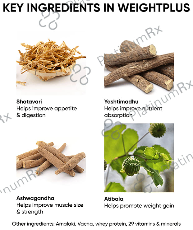 Dr. Vaidya's Weight Plus Powder Belgian Chocolate