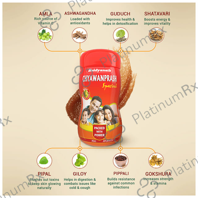Baidyanath Chyawanprash Special Immunity Booster Paste 250gm
