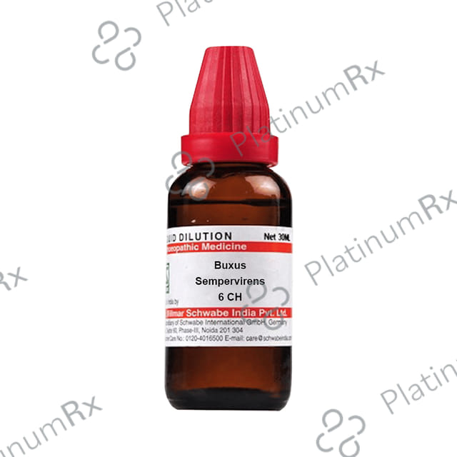 Dr Willmar Schwabe India Buxus Sempervirens Dilution 6 CH