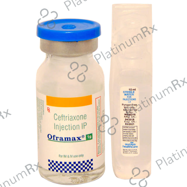 Oframax 1gm Injection