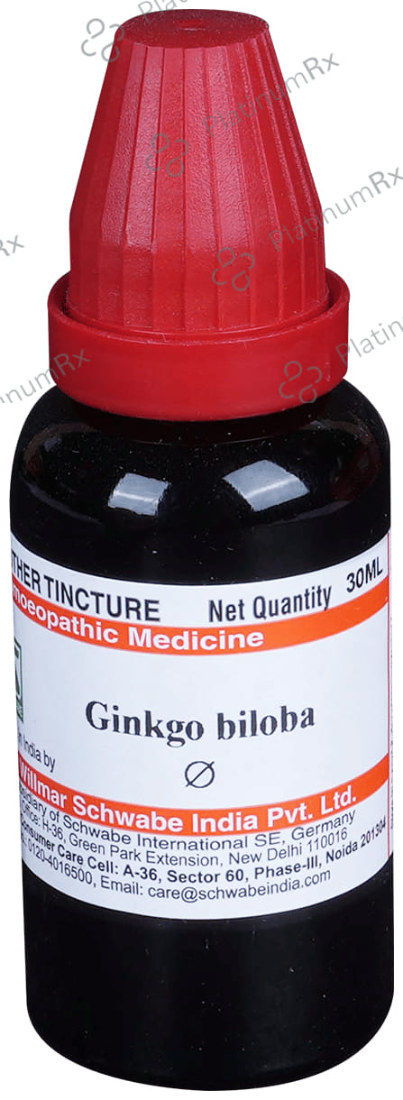 Dr Willmar Schwabe India Ginkgo Biloba Mother Tincture Q