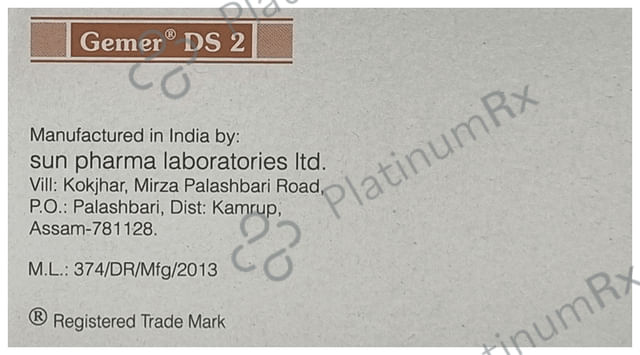 Gemer DS 2 Tablet PR