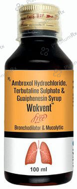 Wokvent Syrup Sugar Free